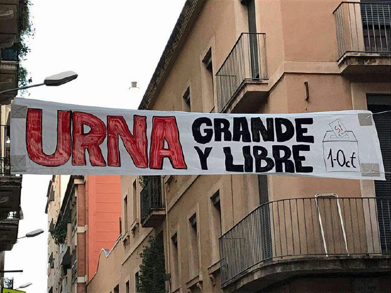 Ciudadana Leonor. La confianza se obtiene en las urnas