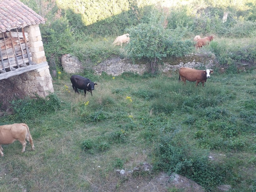 La lluvia